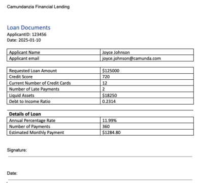 Camunda Financial Lending faux document