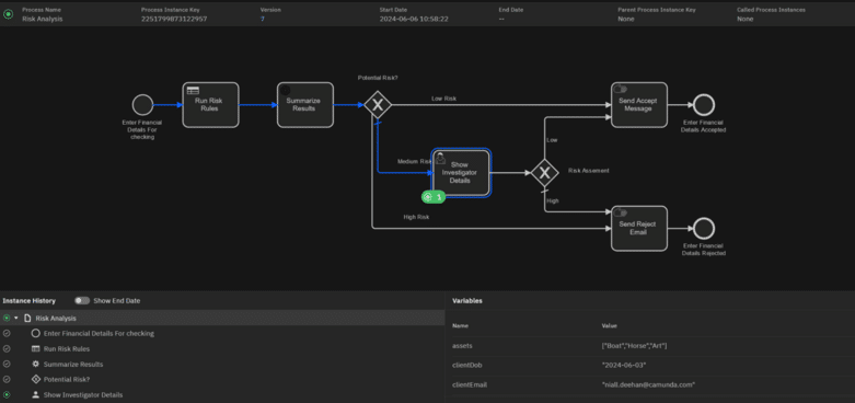 Taking data from BPMN and feeding into DMN