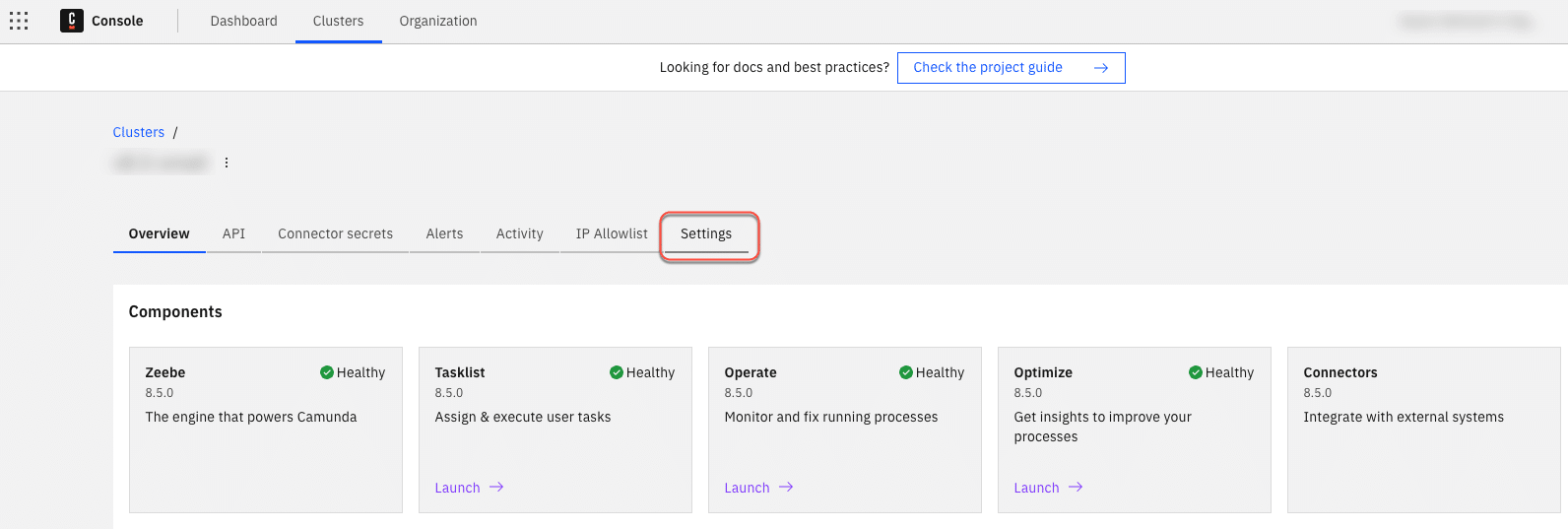 Enable alpha feature in Camunda Console